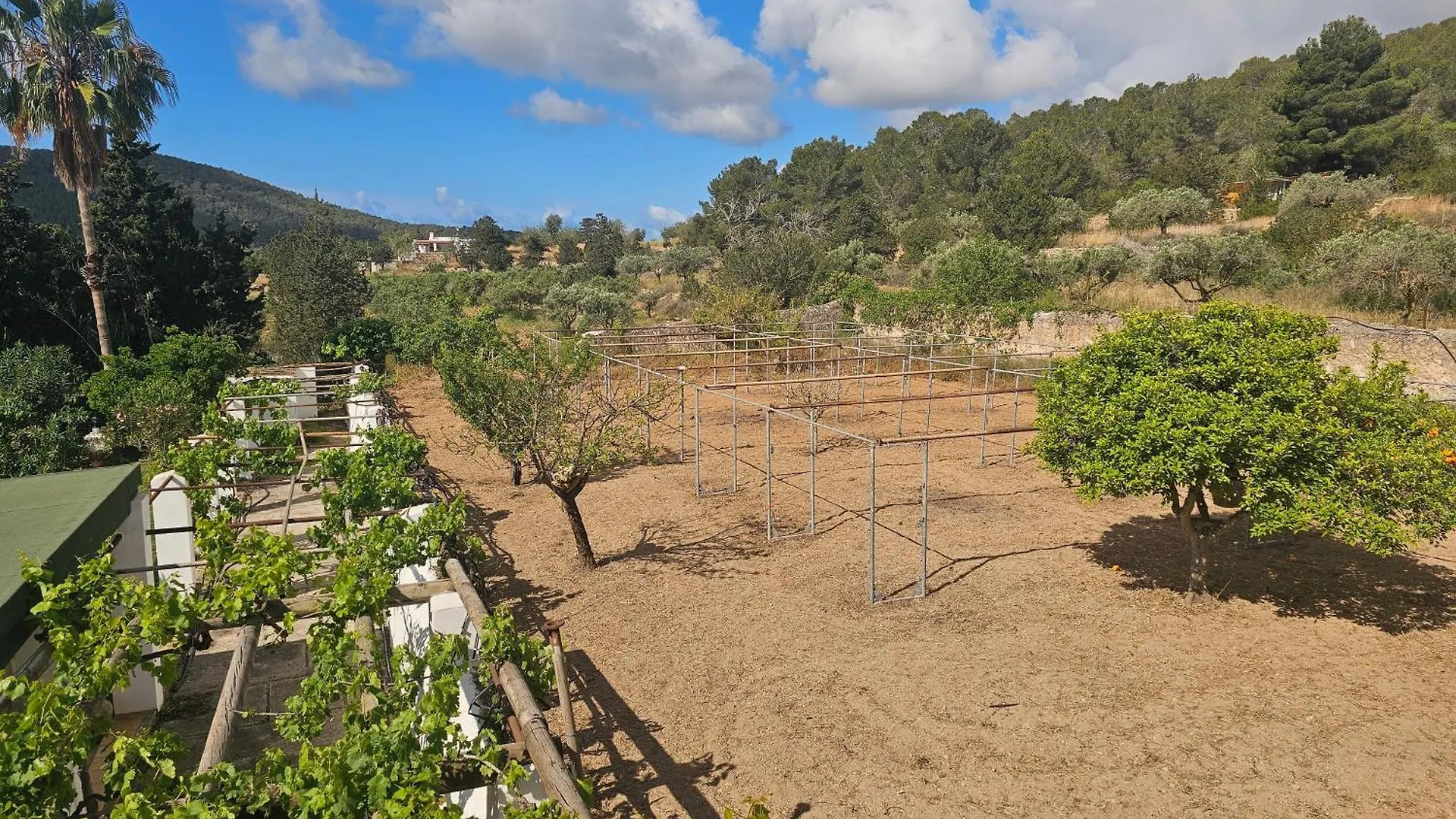 Villa Can Ripoll Ibiza Appartement